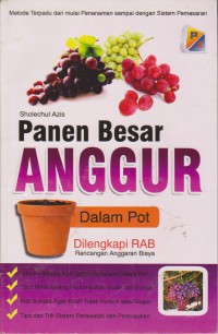 Panen Besar Anggur Dalam Pot : Dilengkapi RAB (Rancangan Anggaran biaya)