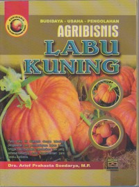 Agribisnis Labu Kuning