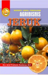 Agribisnis Jeruk