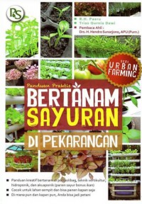 Panduan Praktis Bertanam Sayuran Di Perkarangan