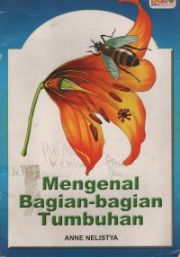 Mengenal Bagian - Bagian Tumbuhan