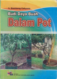 Budi Daya Buah Dalam Pot