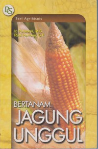 Bertanam Jagung Unggul