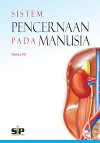 Sistem Pencernaan Pada Manusia