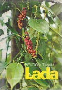 Bercocok Tanaman Lada