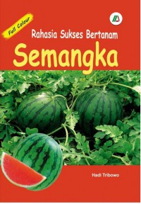 Rahasia Sukses Semangka