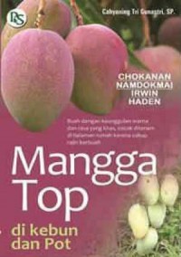 Mangga Top Di Kebun Dan Pot