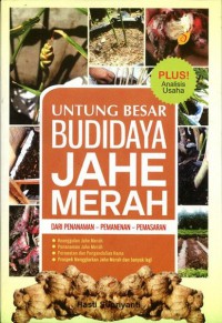 Untung Besar Budidaya Jahe Merah : Dari Penanaman, Pemanenan, Pemasaran