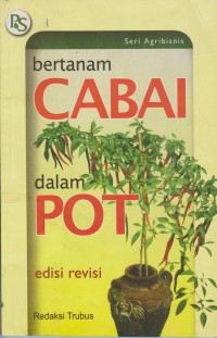 Bertanam Cabai Di Dalam Pot