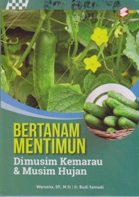 Bertanam Mentimun Dimusim Kemarau Dan Musim Hujan