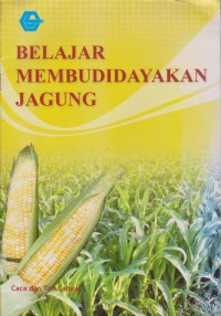 Belajar Membudidayakan Jagung