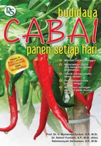 Budidaya Cabai Panen Setiap Hari