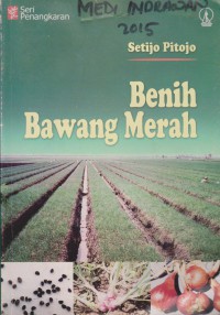 Benih Bawang Merah