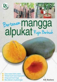 Bertanam Mangga Alpukat Rajin Berbuah