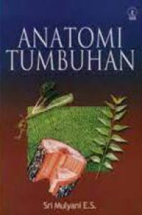 Anatomi Tumbuhan