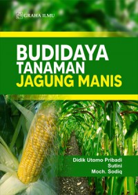 Budidaya Tanaman Jagung Manis