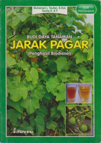 Budi Daya Tanaman Jarak Pagar (Penghasil Biodisel)