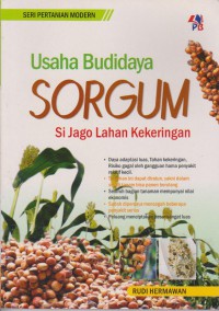 Usaha Budidaya Sorgum : Si Jago Lahan Kekeringan